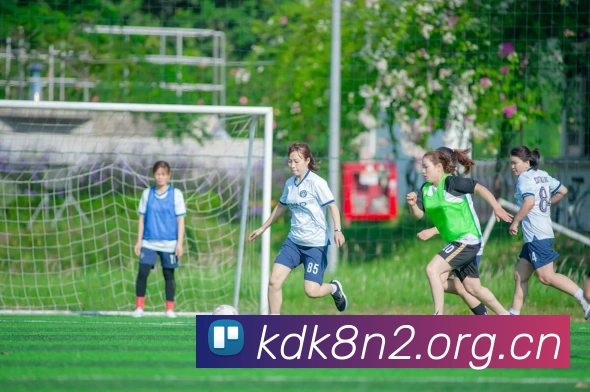 米兰app官方正版官网服务体系